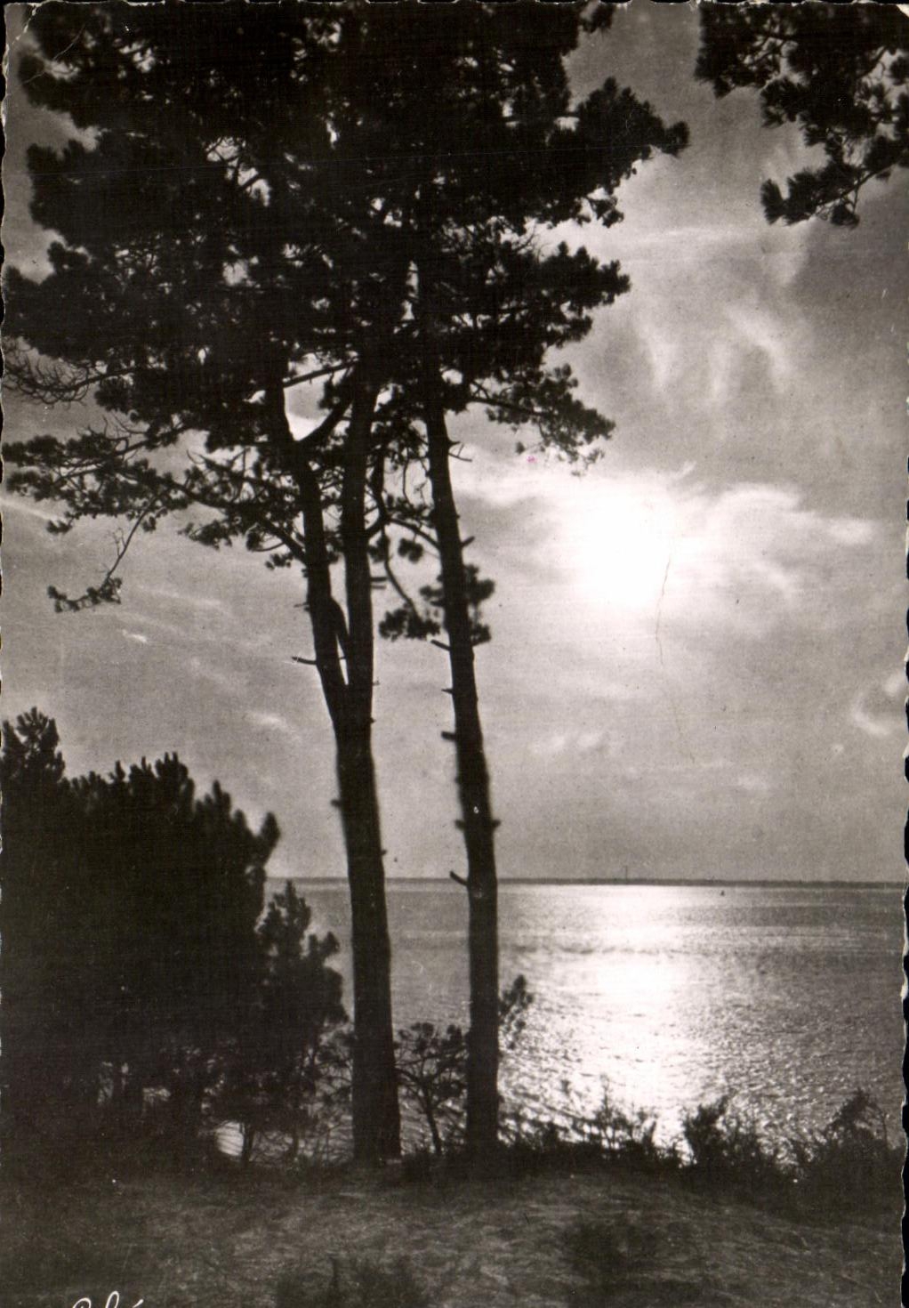 Coucher de Soleil sur le Bassin d'Arcachon — L. CHATAGNEAU, 640