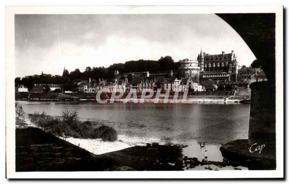 CPA Amboise Bords de la Loire et le Chateau