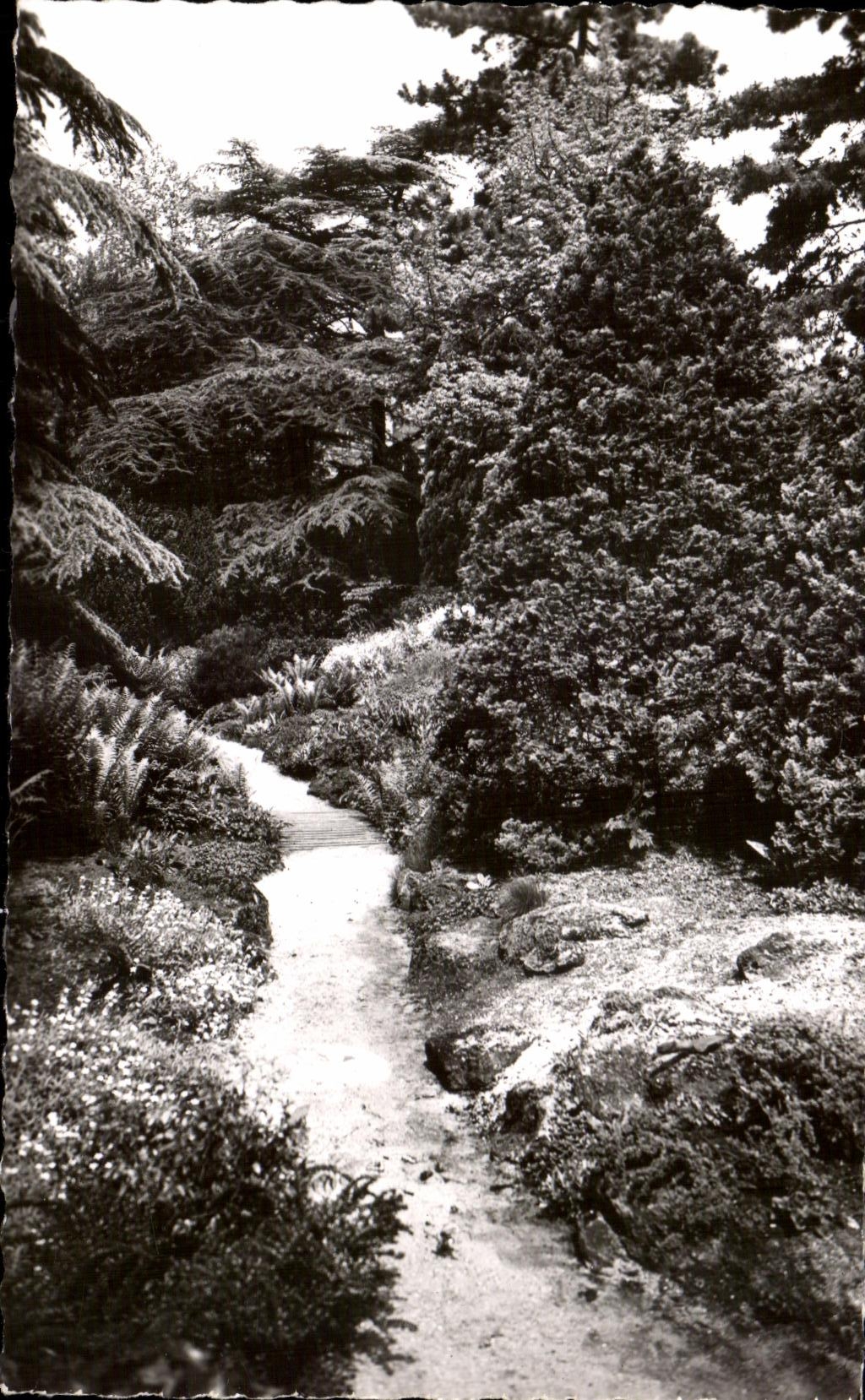 Boulogne — Les Jardins Albert Kahn — Les Rocailles