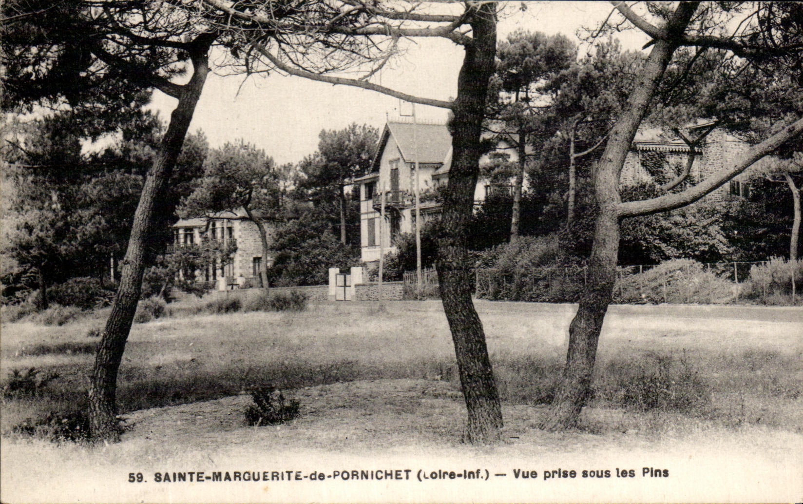 CPA Saint Marguerite De Pornichet Vue Prise Sous Les Pins