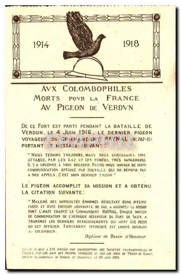 CPA Aux Colombophiles Morts Pour La France Vedun Militaria Colombe