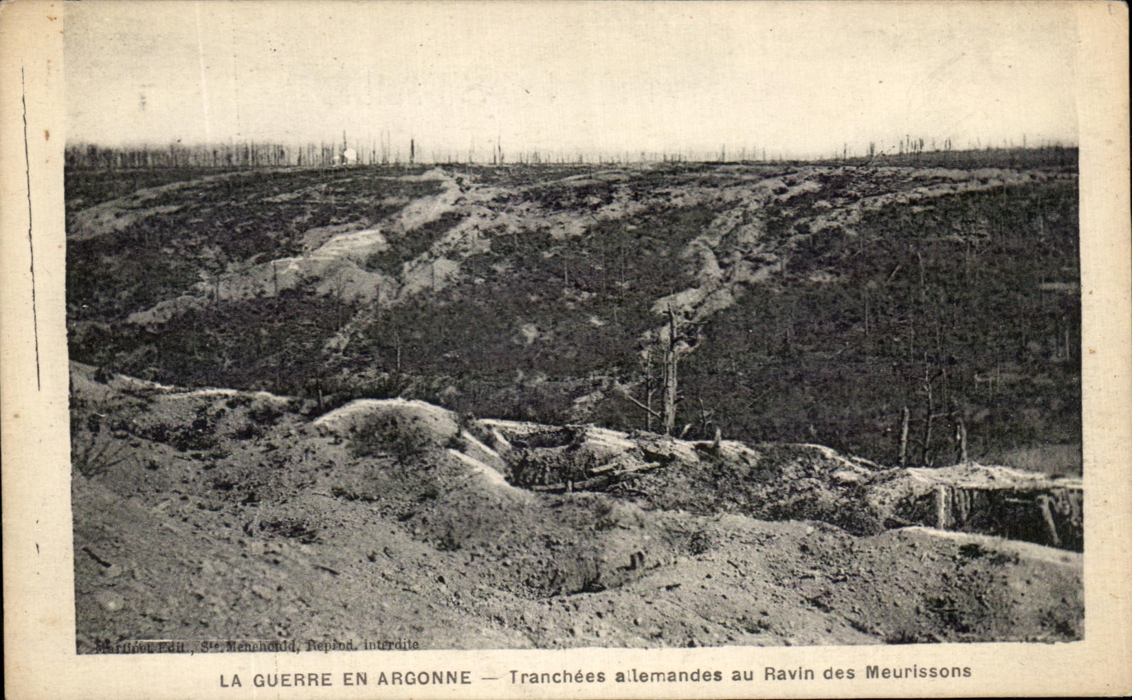 Tranchées allemandes au Ravin des Meurissons — La Guerre en Argonne