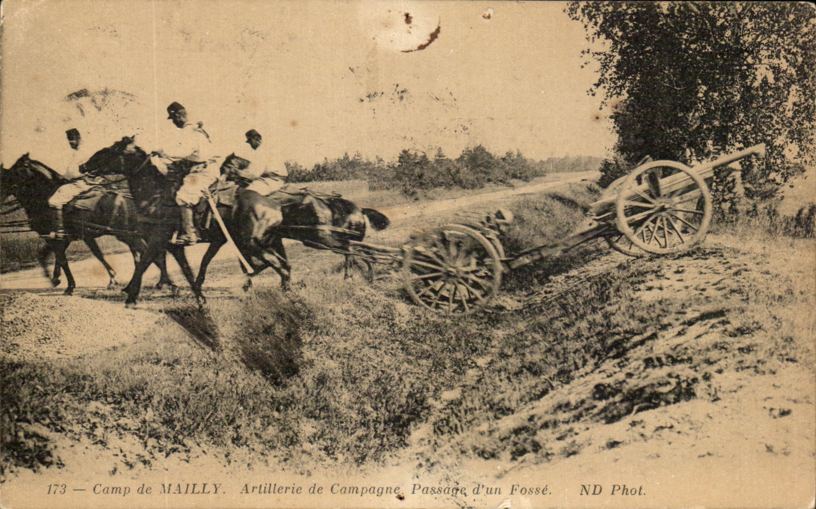 CPA Camp De Mailly Artillerie De Campagne Passage d'Un fosse Cheval Militaria