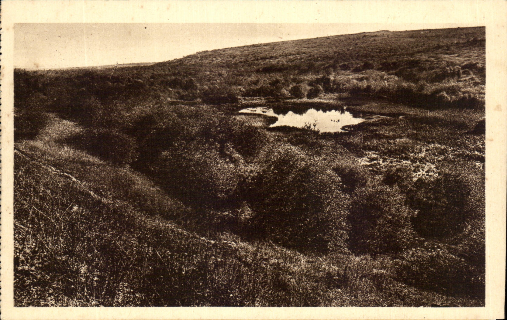 L'Étang de Vaux — autour duquel se livrèrent de furieux combats — fort de Vaux à l'horizon