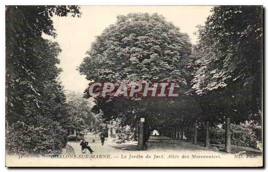CPA Chalons Sur Marne Le Jardin du Jard Allee des Marronniers