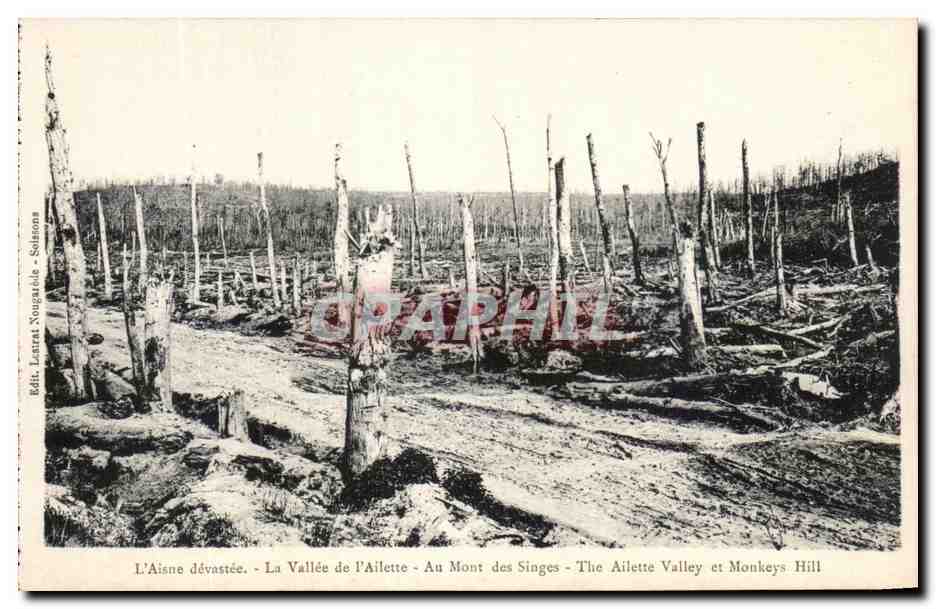 L'Aisne dévastée - La Vallée de l'Ailette - Au Mont des Singes - The Ailette Valley et Monkeys Hill — Éd. Laurent Nougatole - Soissons