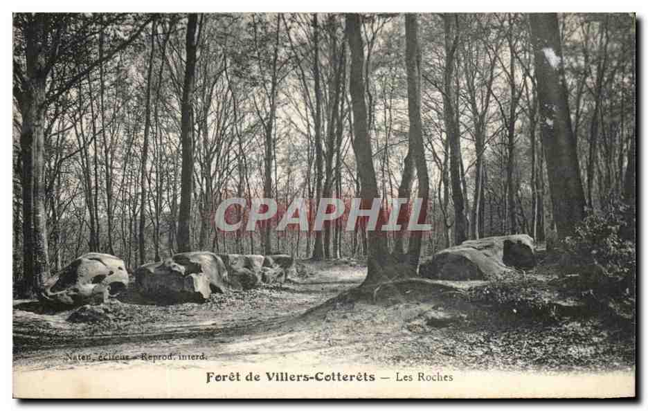 Forêt de Villers-Cotterêts — Les Roches — Nater, Gélifoue — Reprod. interd.