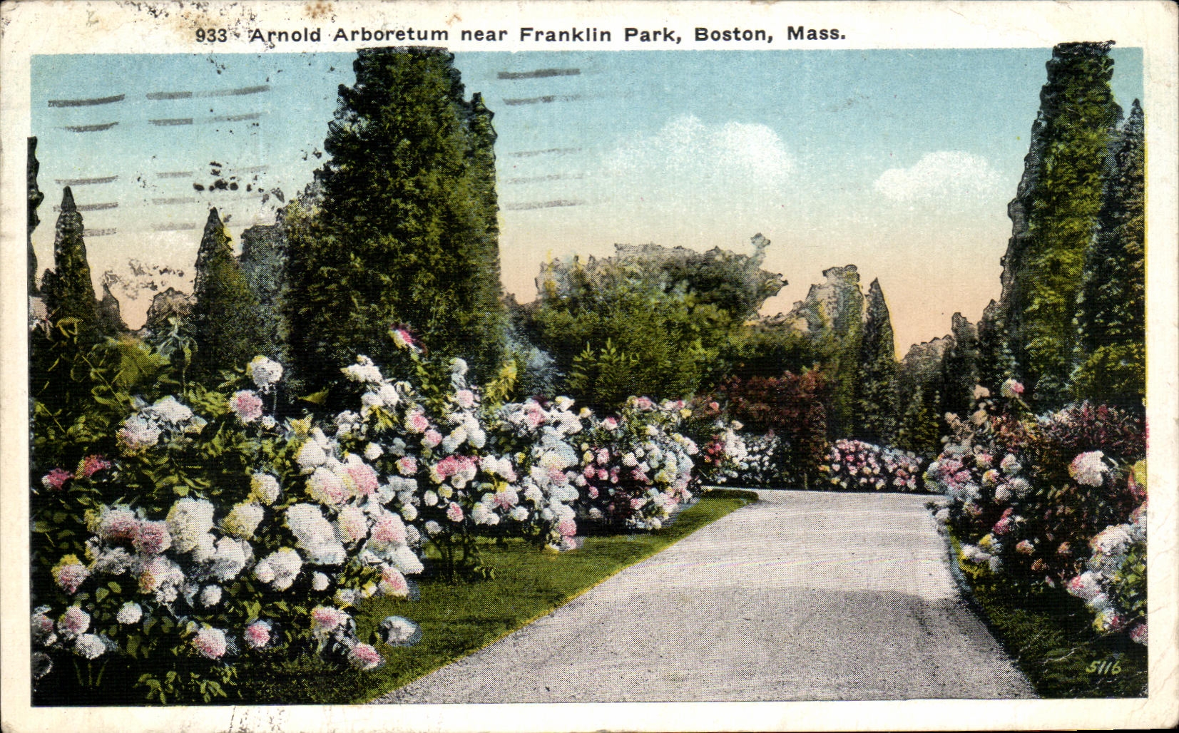CPA Arnold Arboretum Near Franklin Park Boston Mass
