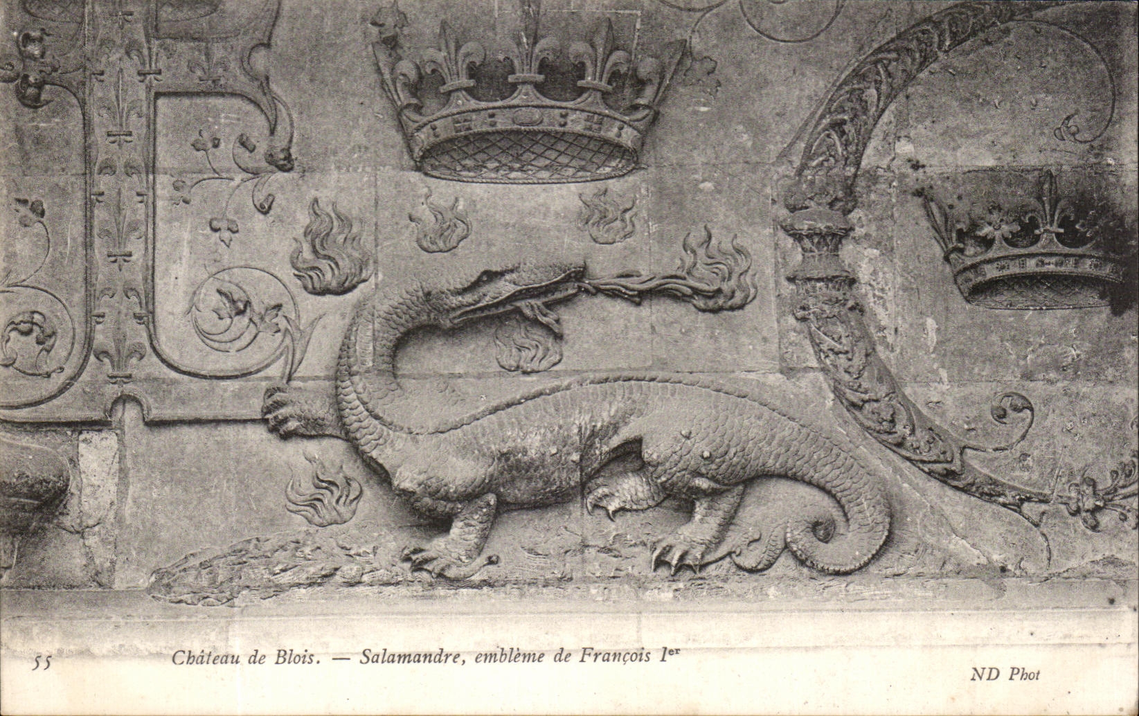 Château de Blois — Salamandre, emblème de François 1er — ND Phot