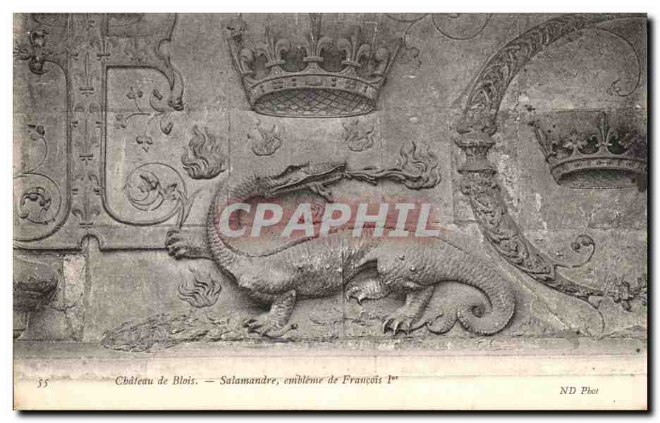 CPA Chateau de Blois Salamandre Embleme de Francois 1er