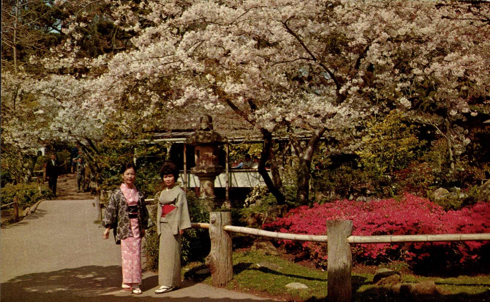 CPSM San Francisco Japanese Tea Garden The Japanese Tea Garden In Famous Golden Gate