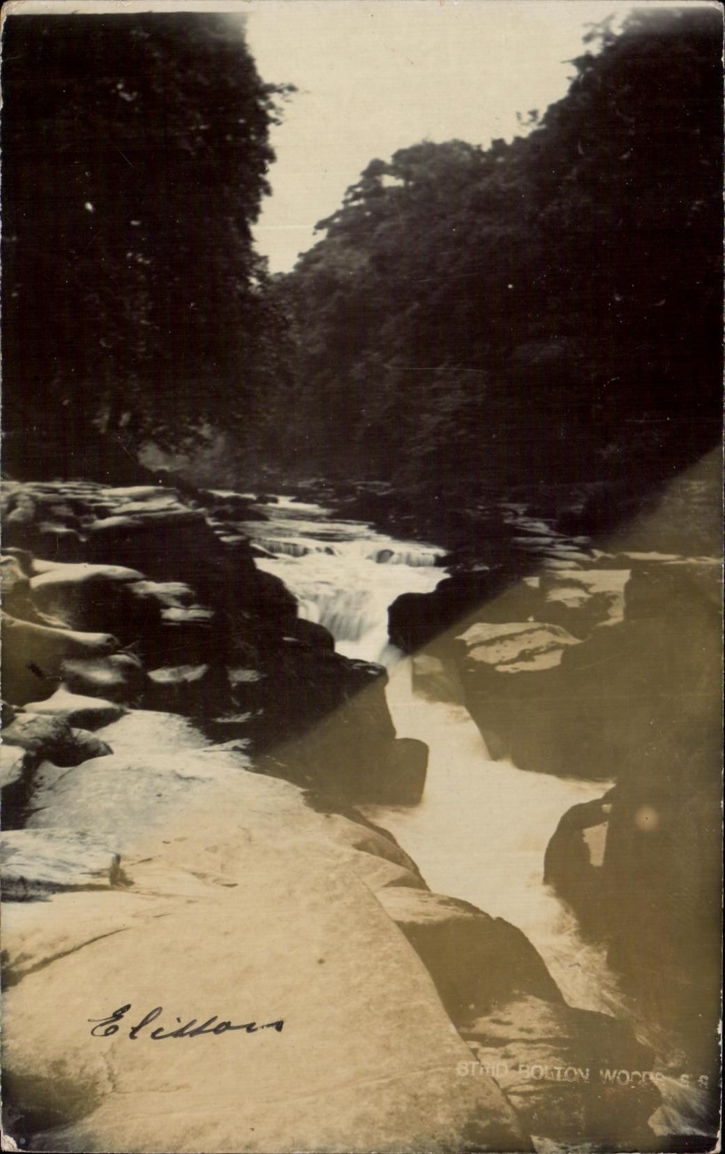 CARTE PHOTO Strid Bolton Woods