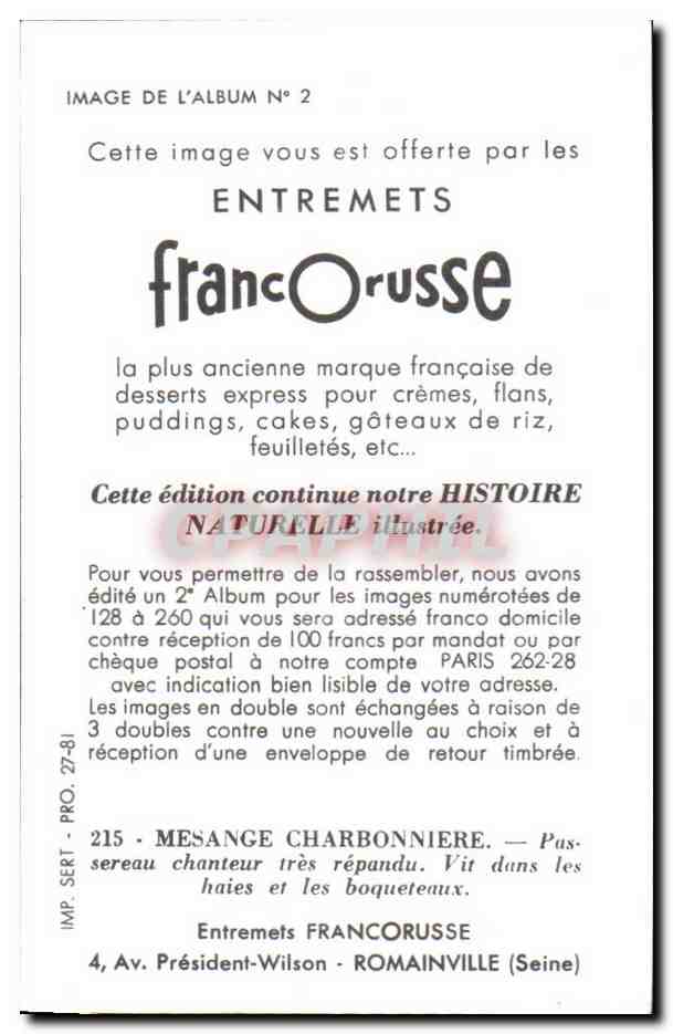Image Mesange Charbonniere oiseau — Rückseite