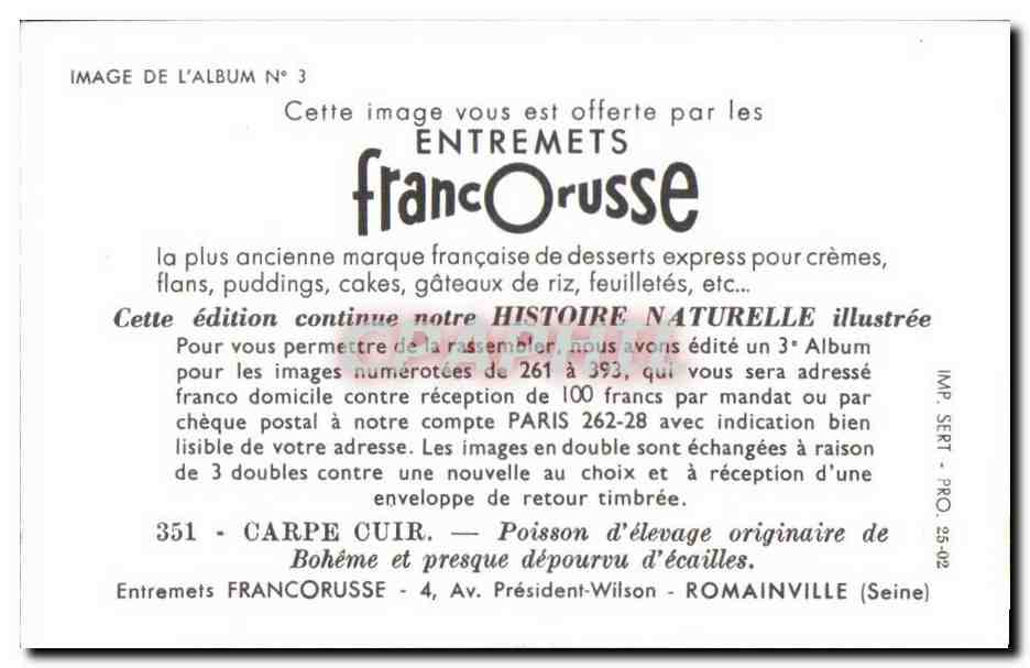Image Carpe Cuir Poisson d'elevage originaire de Boheme et presque depourou Entrements Francorusse — Rückseite