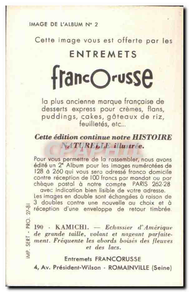 Image Kamichi Entrements Francorusse Romainville — Verso