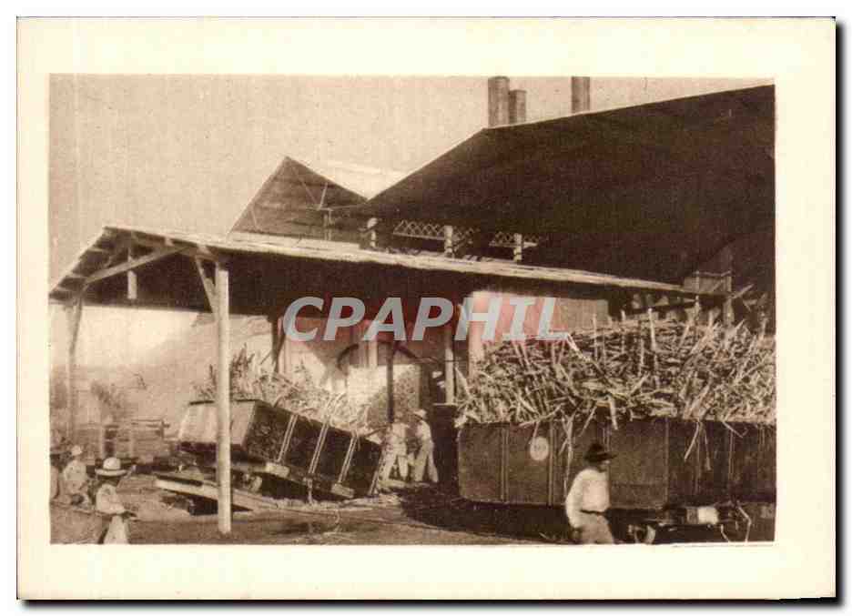 CPA Antilles Francaise Dechargement des Wagons de cannes a la fabrique de sucre
