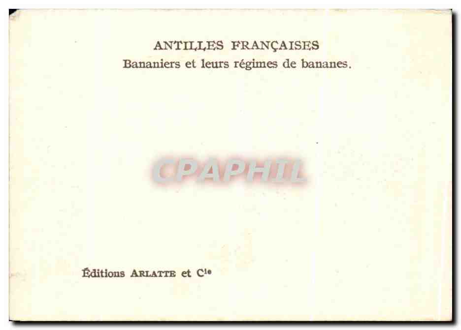 Banana plantations — Antilles Françaises — Société de Géographie — Reverso