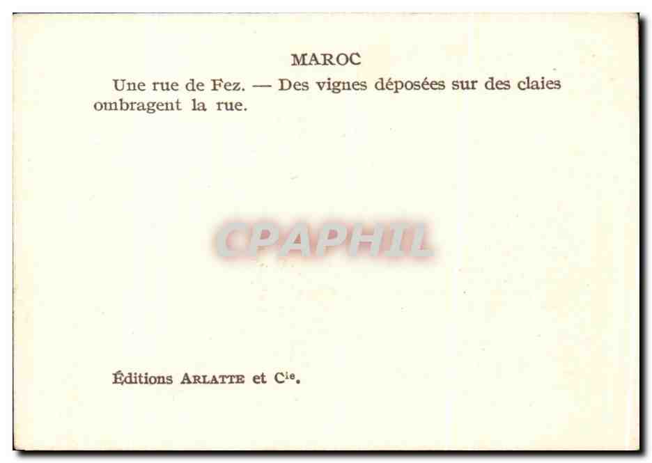 CPA Maroc Une rue de Fez Des Vignes deposees sur des claies ombragent la rue — Rückseite