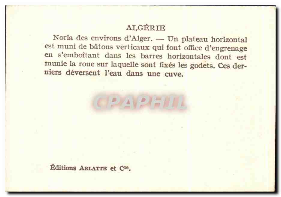 CPA Algerie Noria des environs d'Alger Un plateau horizontal est munide batons — Verso