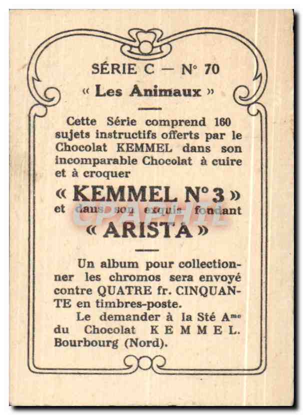 Image Un Joli Saut Cheval militaria — Rückseite