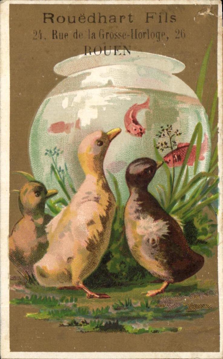 Chromo Rouedhart Fils Rue De La Grosse Horloge Rouen Canards Poissons rouges