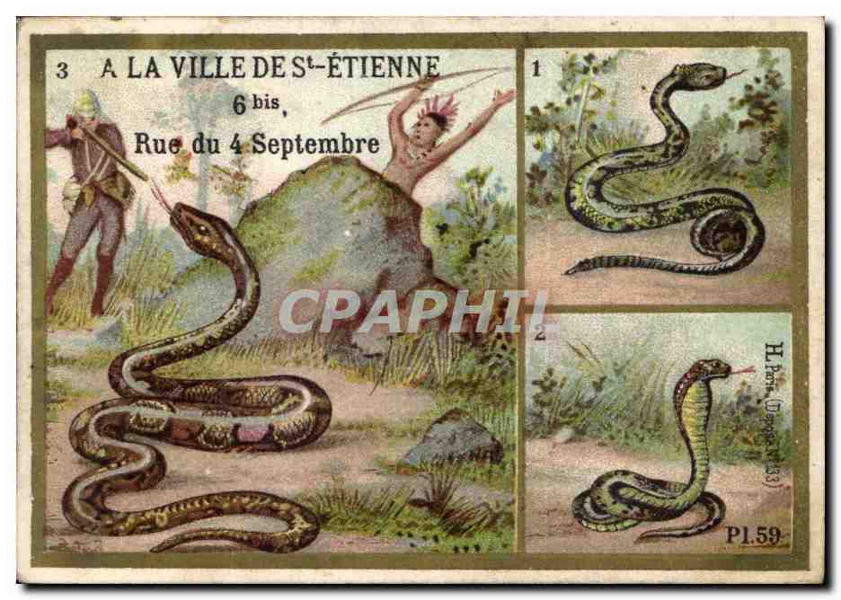 Chromo La Ville De St Etienne Rue Du 4 septembre Serpents 