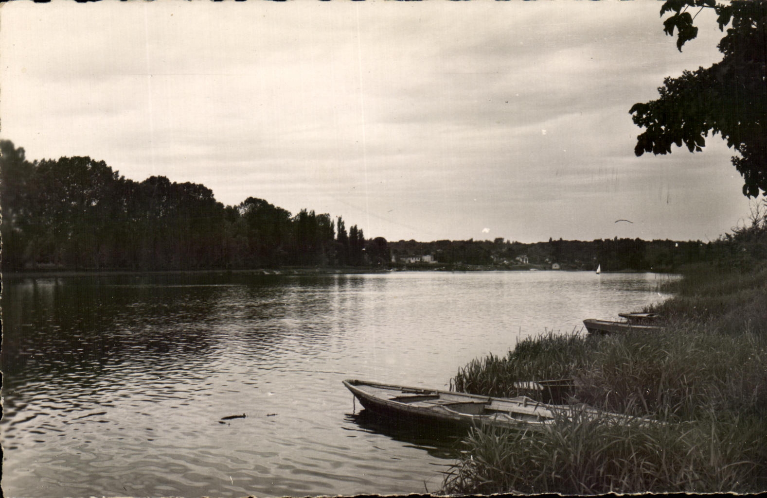 Chartrettes (S.-et-M.) — Vue sur Sermaize — E.T. Desfont