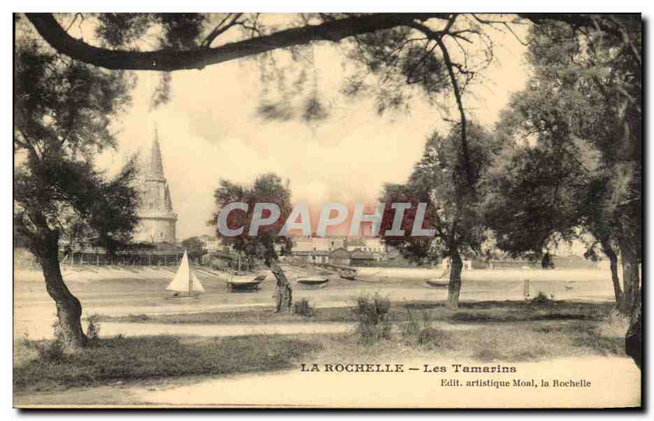 La Rochelle — Les Tamarins — Edit. artistique Moal, la Rochelle