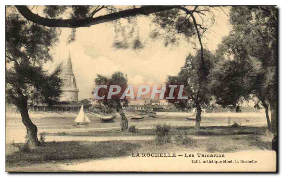 CPA La Rochelle Les Tamarins