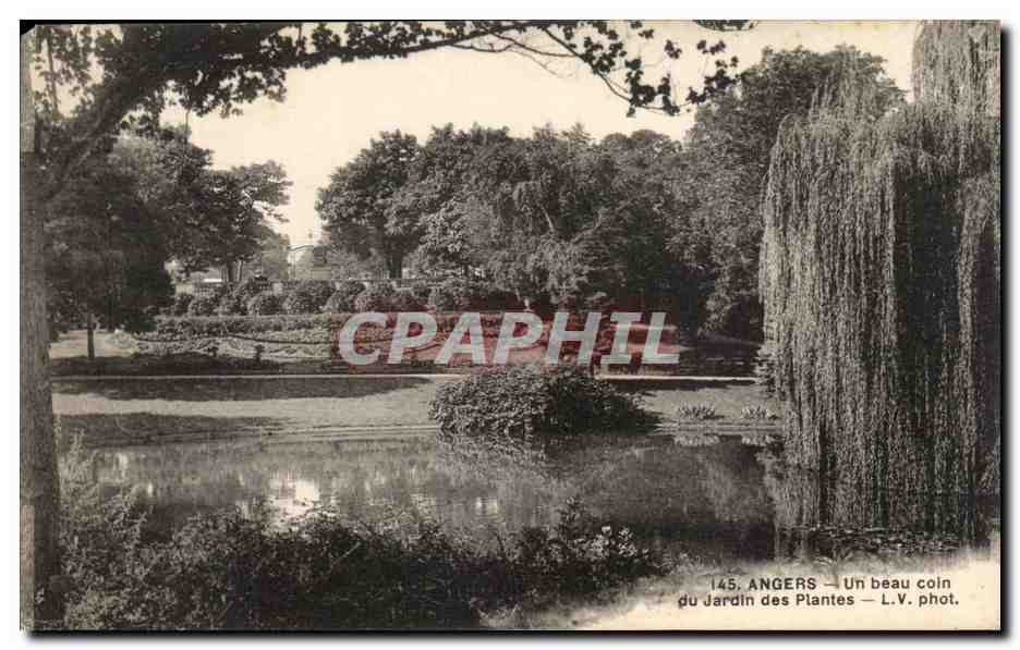 CPA Angers Un beau coin du Jardin des Plantes