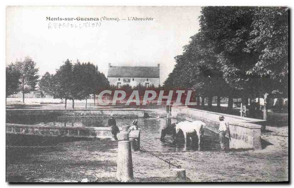 REPRO Monts Sur Guesnes L'Abreuvoir