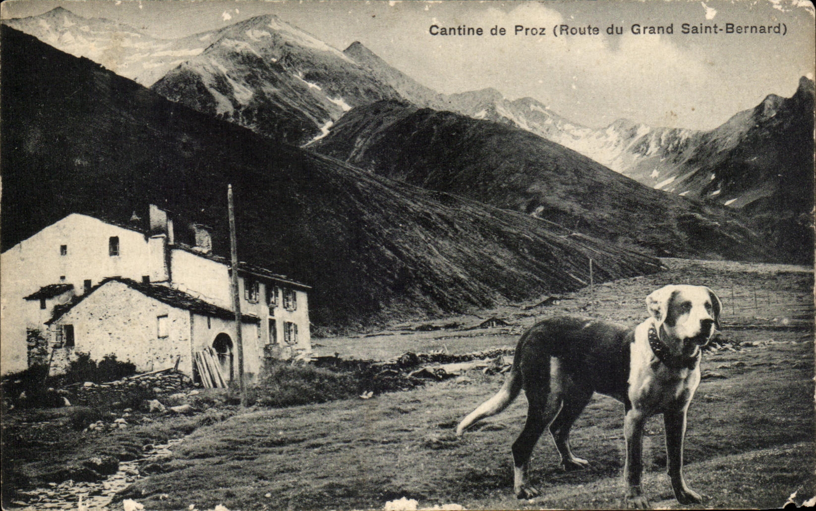 CPA Cantine de Proz Route du Grand Saint Bernard Chien 