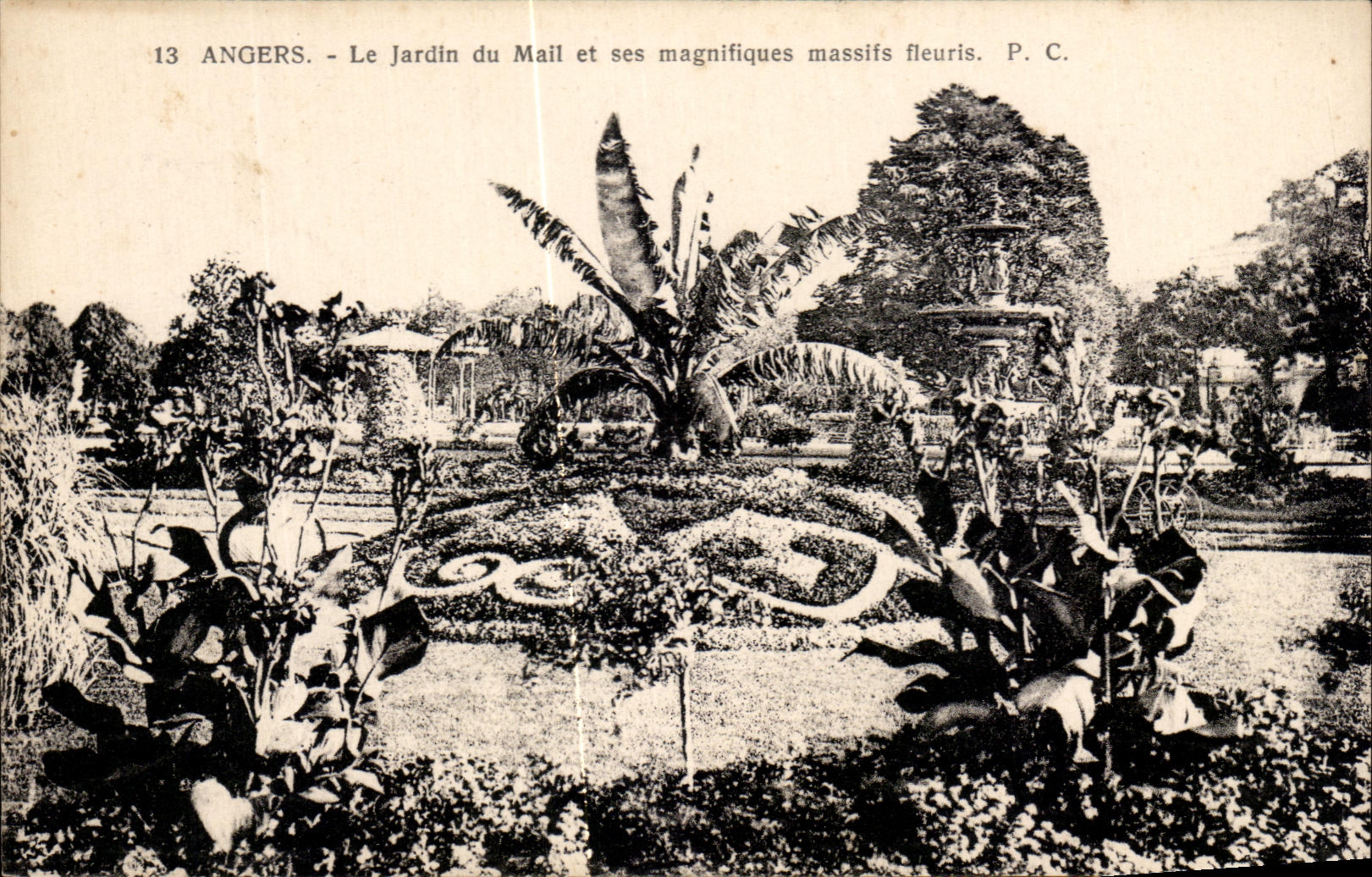CPA Angers Le Jardin Du Mail Et Ses Magnifiques Massifs Fleuris