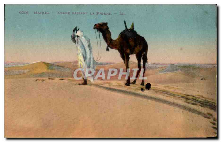 CPA Maroc Arabe Faisant la Priere Chameau 