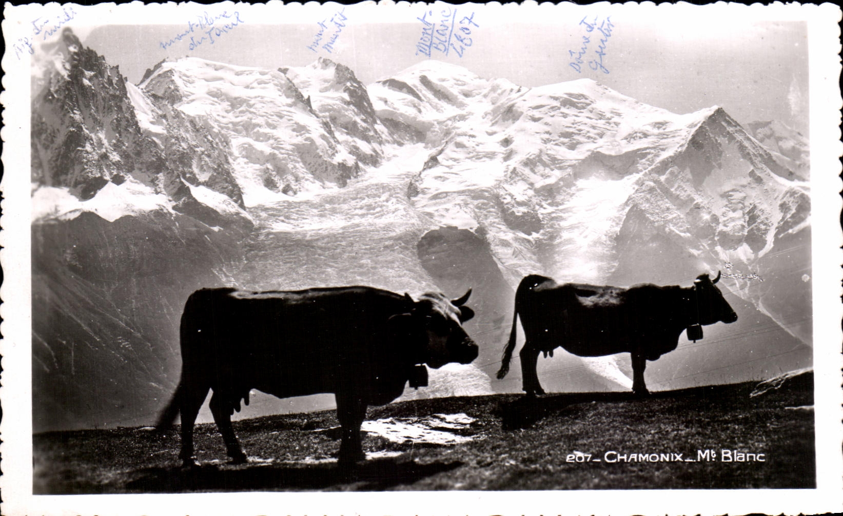 Chamonix — Mont Blanc — 2607 — Société Graphique Neuchâtel