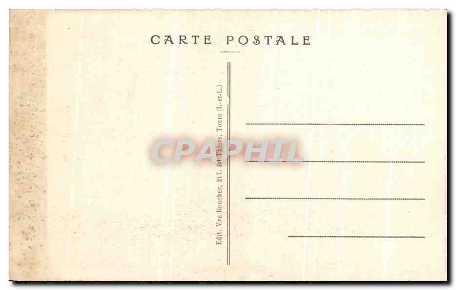 CPA Musee de Tours Le Cedre Geant — Verso