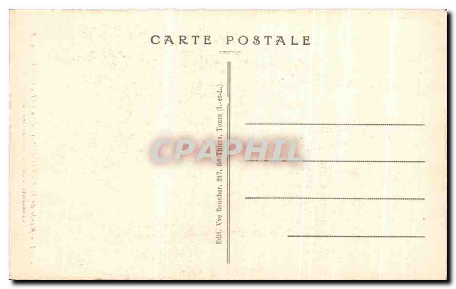 CPA Musee de Tours Le Cedre Geant Circonference autour des branches — Rückseite
