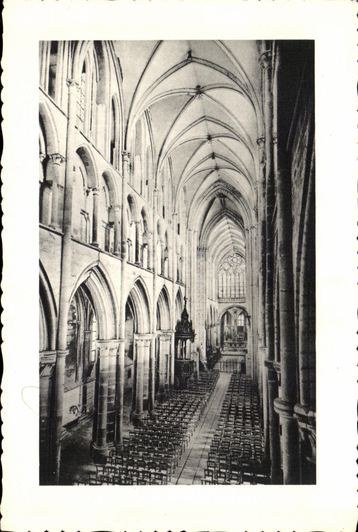 Dol-de-Bretagne (Ille-et-Vilaine) — La Cathédrale — La Nef — Les Artistes Paysagistes