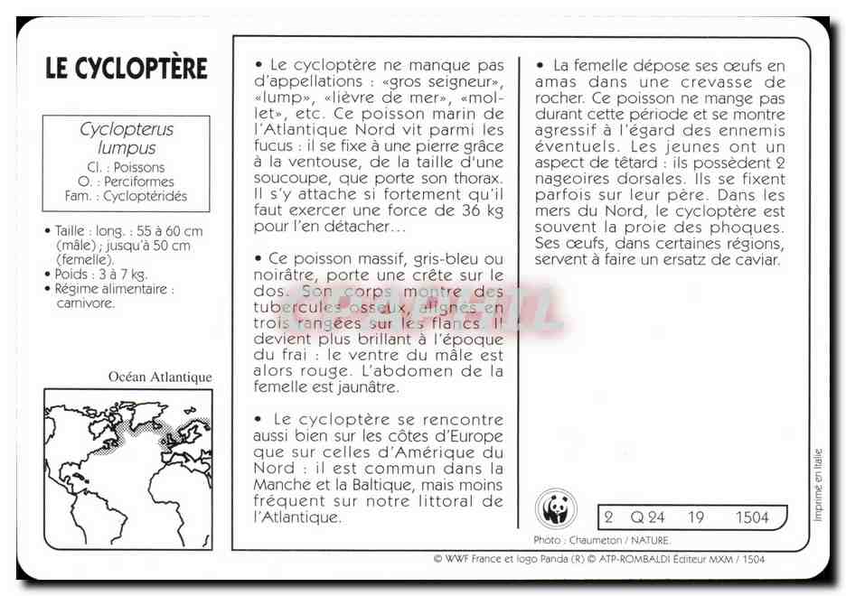 Carte Le Cycloptere Poisson WWF — Rückseite