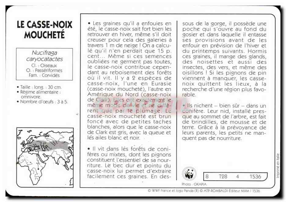 Carte Le Casse Noix Mouchete Oiseau WWF — Rückseite