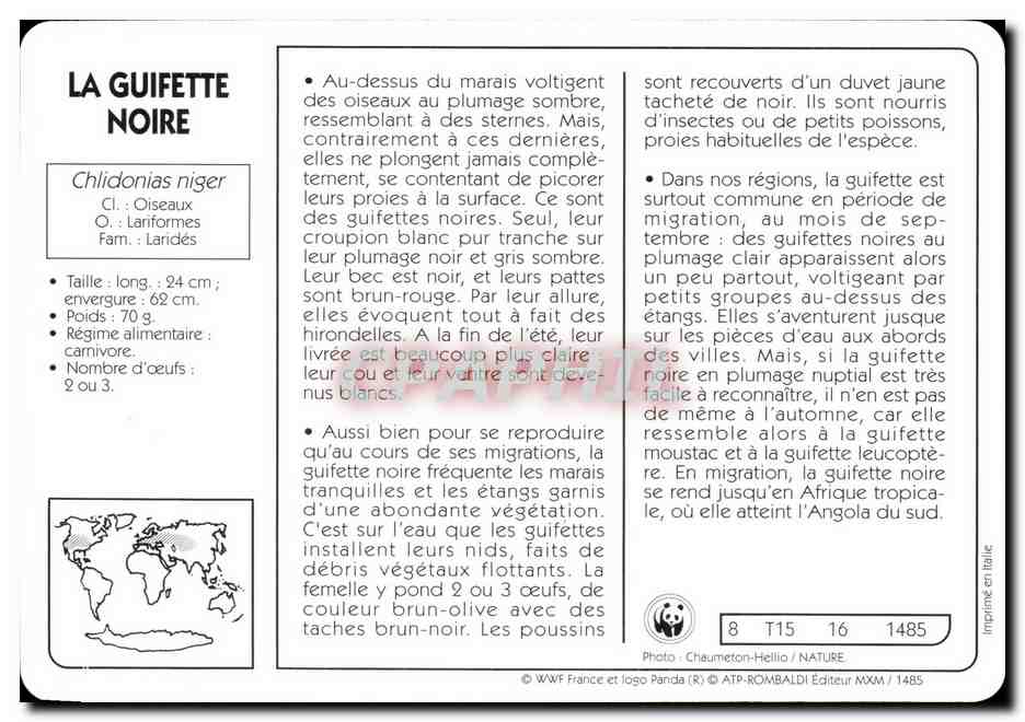 Carte La Guifette Noire oiseau WWF — Rückseite