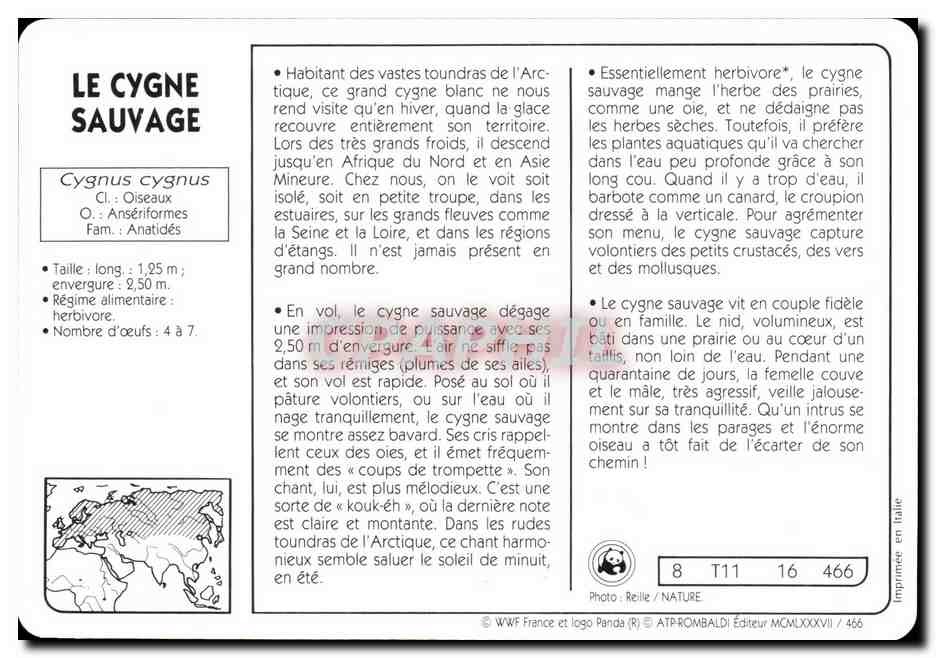 Carte Le Cygne Sauvage Oiseau WWf — Rückseite