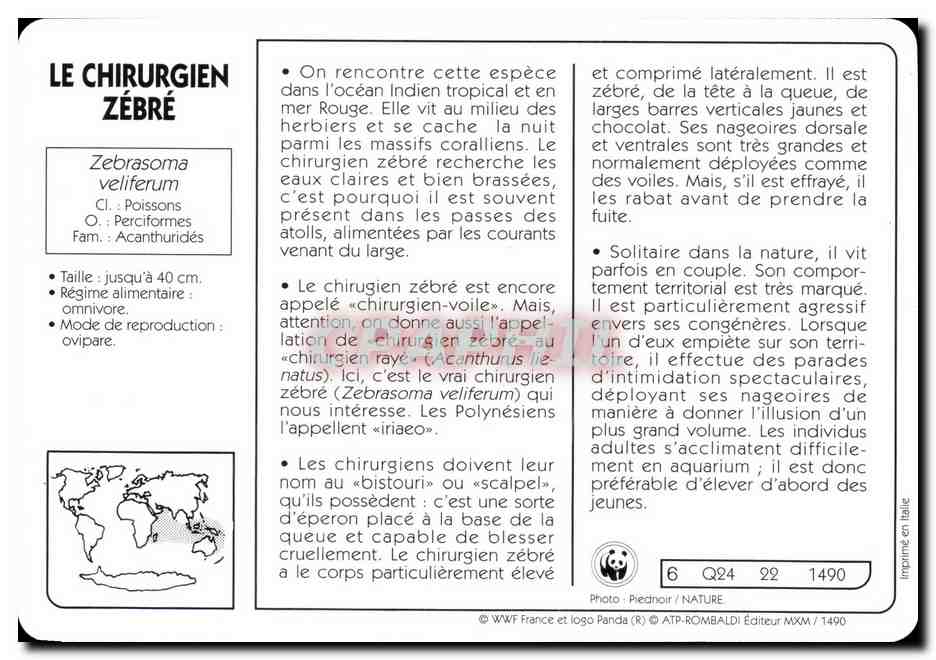 Carte Le Chirurgiem Zebre Poisson WWF — Rückseite