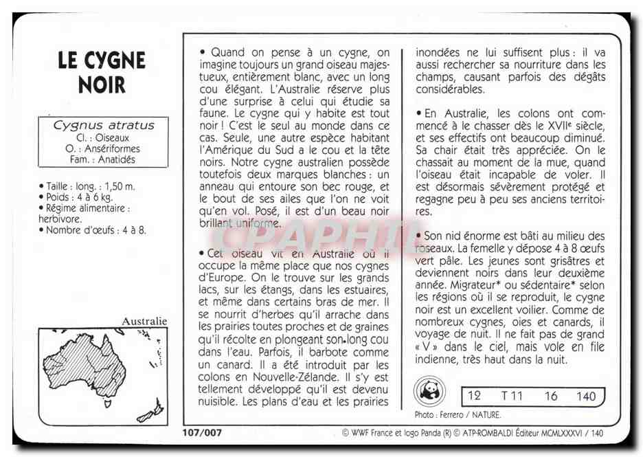 Carte Le Cygne Noir Originaire d'Australie Oiseau WWF — Rückseite