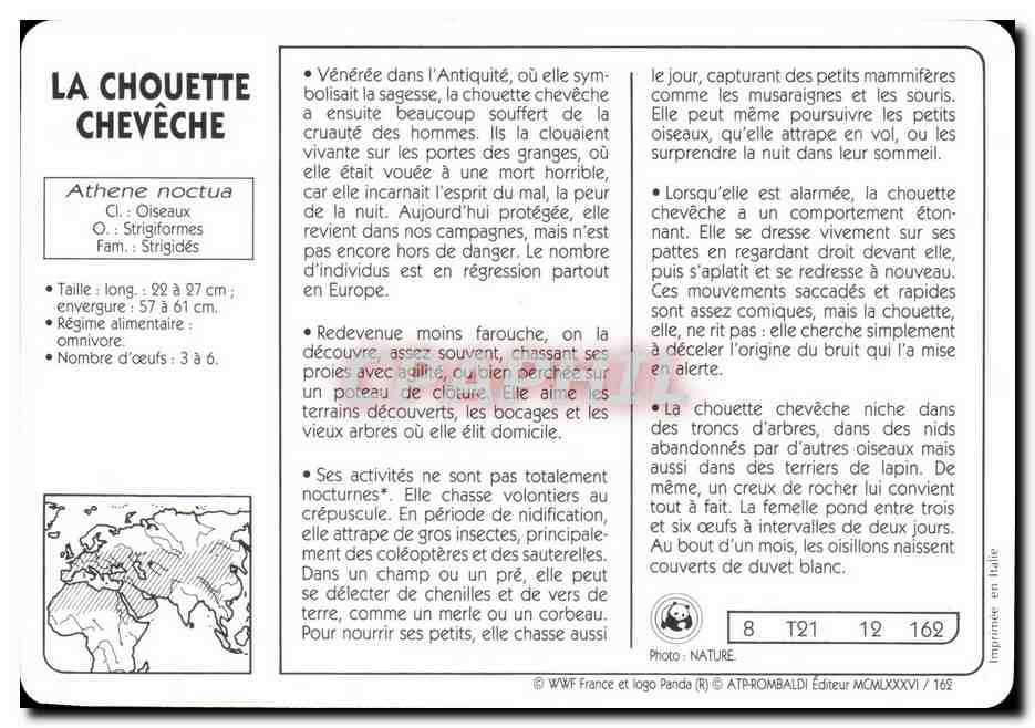 Carte Les Chouette Cheveche Oiseau WWF — Rückseite