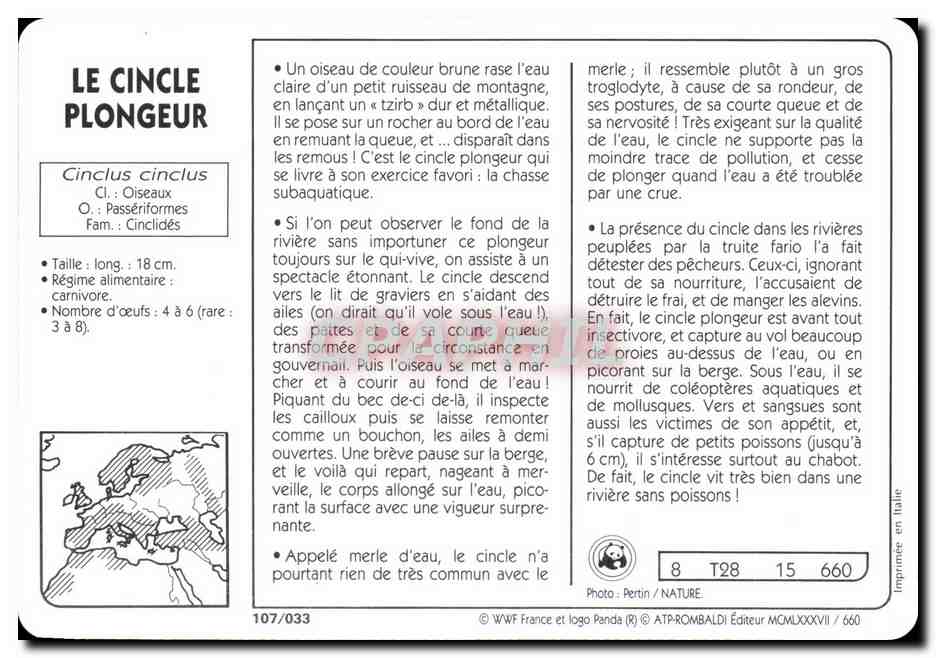 Carte Les Cincle Plongeur Oiseau WWF — Rückseite