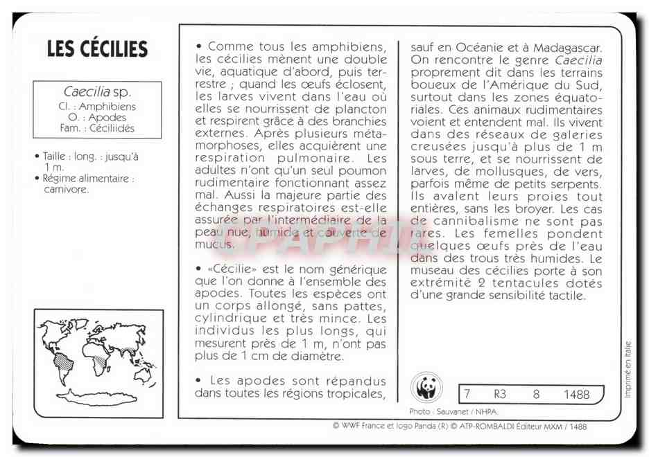 Carte Les Cecilies WWF — Rückseite