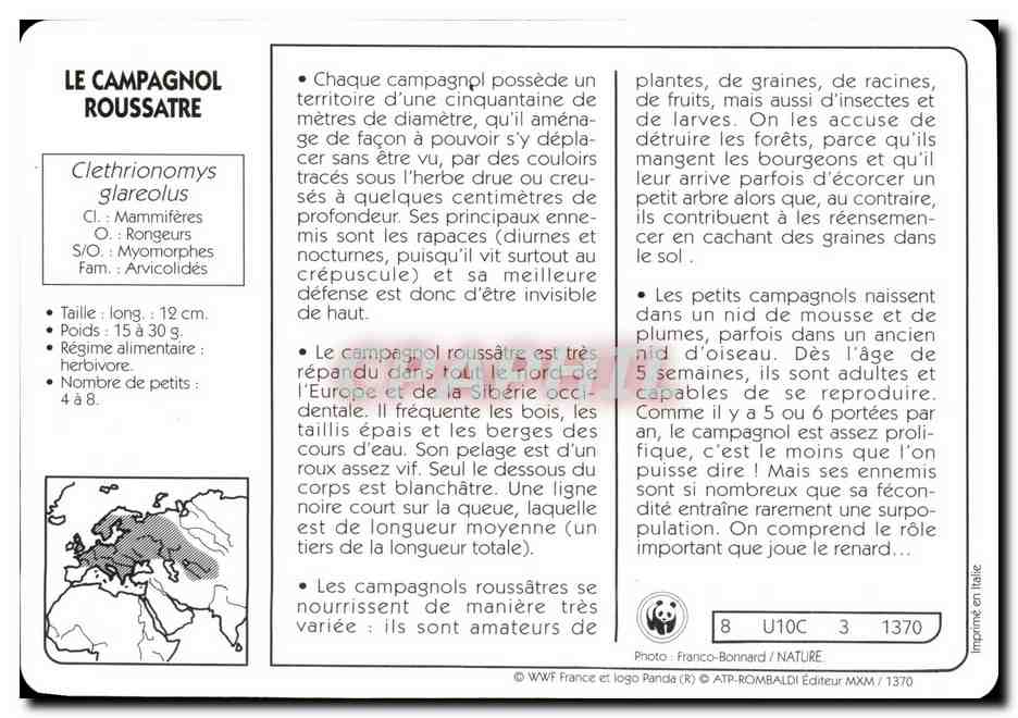 Carte Les Campagnol Roussatre Rongeur WWF — Rückseite