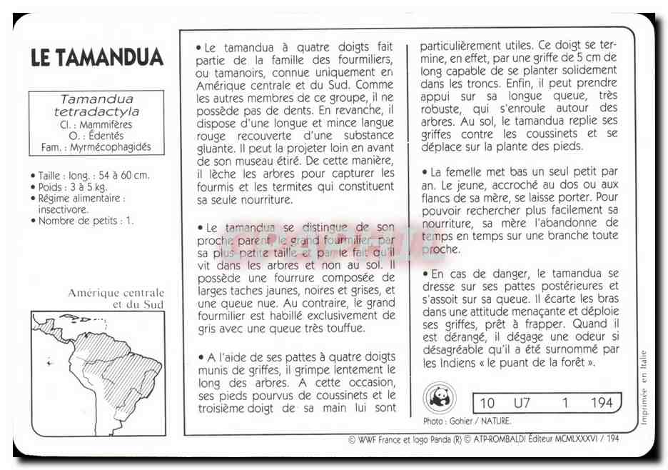 Carte Le Tamandua WWF — Rückseite