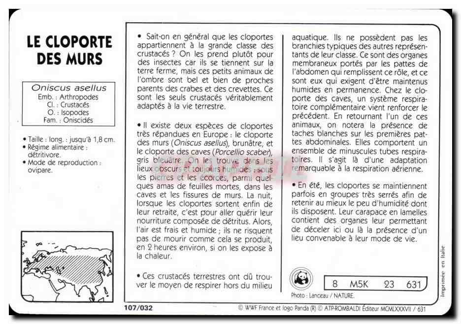Carte Les Cloporte Des Murs Crustace terrestre WWF — Rückseite